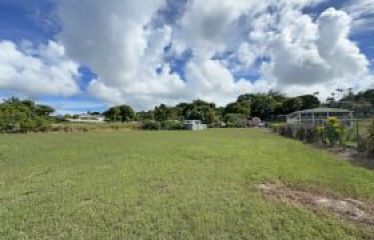 Laynes Road, Paynes Bay, St. James, Barbados