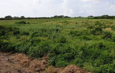 #22 Yorkshire Development, Christ Church, Barbados