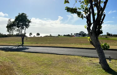 Apes Hill Resort, Cabbage Tree Green J18, St. James, Barbados