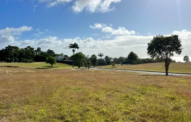 Apes Hill Resort, Cabbage Tree Green J18, St. James, Barbados