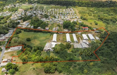 Rock Hall, St. Thomas, Barbados