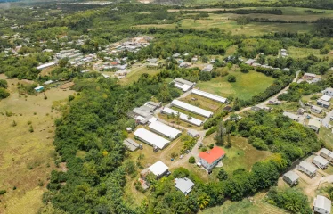Rock Hall, St. Thomas, Barbados