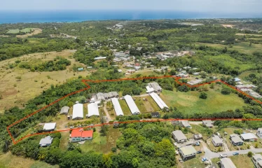 Rock Hall, St. Thomas, Barbados