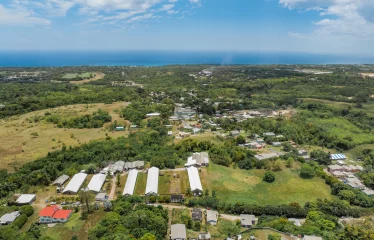 Rock Hall, St. Thomas, Barbados