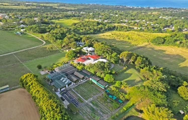 White Hall, St. Peter, Barbados