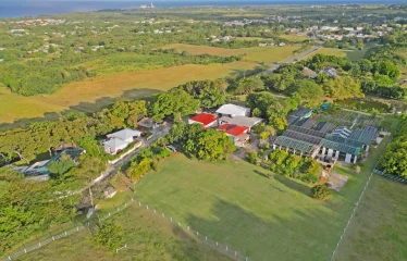 White Hall, St. Peter, Barbados