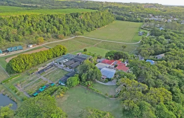 White Hall, St. Peter, Barbados