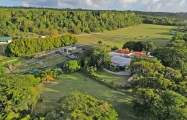 White Hall, St. Peter, Barbados