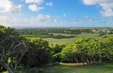 White Hall, St. Peter, Barbados