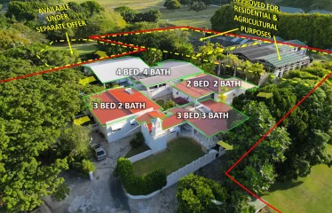 White Hall, St. Peter, Barbados