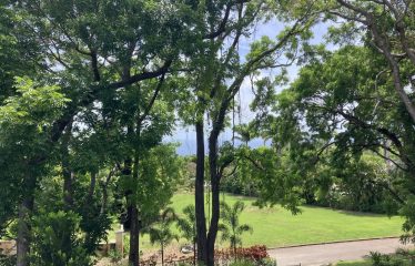 In The Woods, Sion Hill, St. James, Barbados
