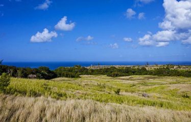 Sion Hill, Gully Ridge, St. James, Barbados