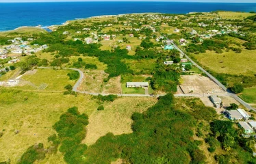 Lowlands, St. Lucy, Barbados