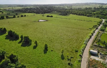 Ashford Plantation Lot 2, St. John, Barbados