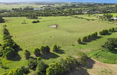 Ashford Plantation Lot 2, St. John, Barbados
