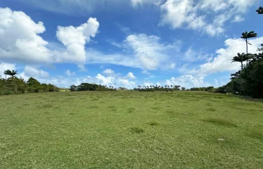 Ashford Plantation Lot 2, St. John, Barbados