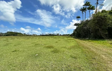 Ashford Plantation Lot 2, St. John, Barbados