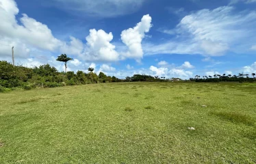 Ashford Plantation Lot 2, St. John, Barbados