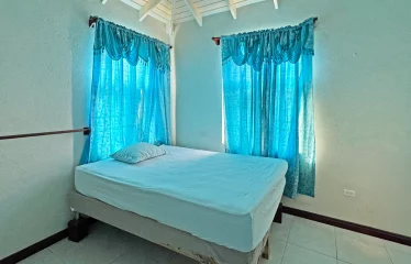 Coles Road #138, St. Philip, Barbados