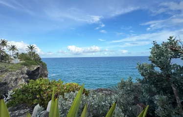 Ocean City Lot 67, St. Philip, Barbados
