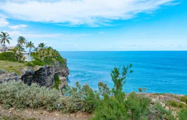 Ocean City Lot 67, St. Philip, Barbados