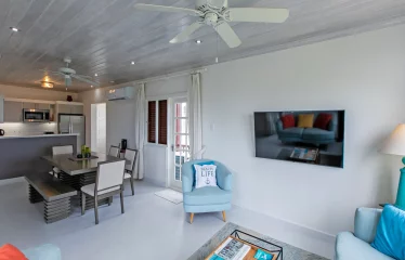 Ashanti Apartment 3, Mullins, St. Peter, Barbados