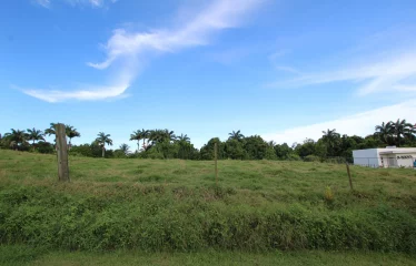Highland Phase 2 Lot 2, St. Thomas, Barbados