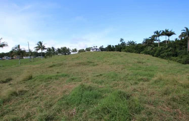 Highland Phase 2 Lot 2, St. Thomas, Barbados