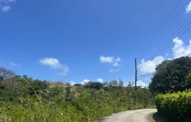 Gibbes Lot 2, St. Peter, Barbados
