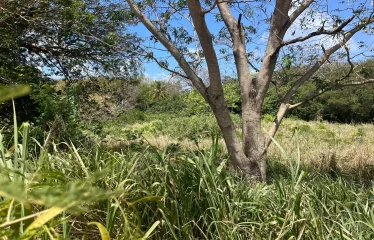 Gibbes Lot 2, St. Peter, Barbados