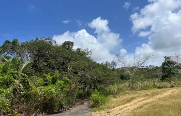Gibbes Lot 2, St. Peter, Barbados
