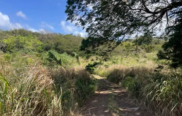 Gibbes Lot 2, St. Peter, Barbados