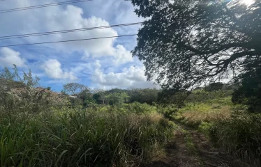 Gibbes Lot 2, St. Peter, Barbados