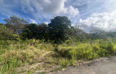 Gibbes Lot 2, St. Peter, Barbados