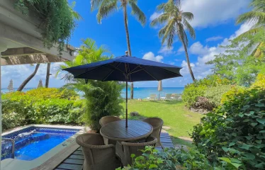 Surf’s Up, Reed House #5, Lower Carlton, St. James, Barbados