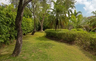 The Arrows, Sugar Hill Resort, St. James, Barbados