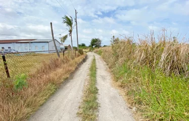 Kirtons Farm, Kirtons, St. Philip, Barbados