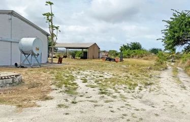 Kirtons Farm, Kirtons, St. Philip, Barbados