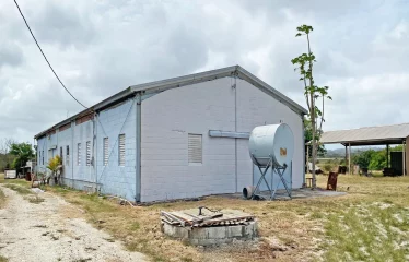 Kirtons Farm, Kirtons, St. Philip, Barbados