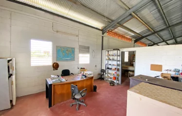 Kirtons Farm, Kirtons, St. Philip, Barbados
