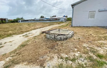 Kirtons Farm, Kirtons, St. Philip, Barbados