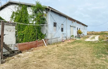 Kirtons Farm, Kirtons, St. Philip, Barbados