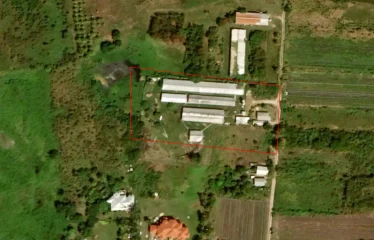 Kirtons Farm, Kirtons, St. Philip, Barbados