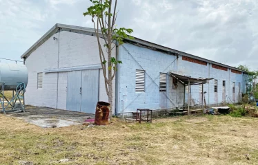 Kirtons Farm, Kirtons, St. Philip, Barbados